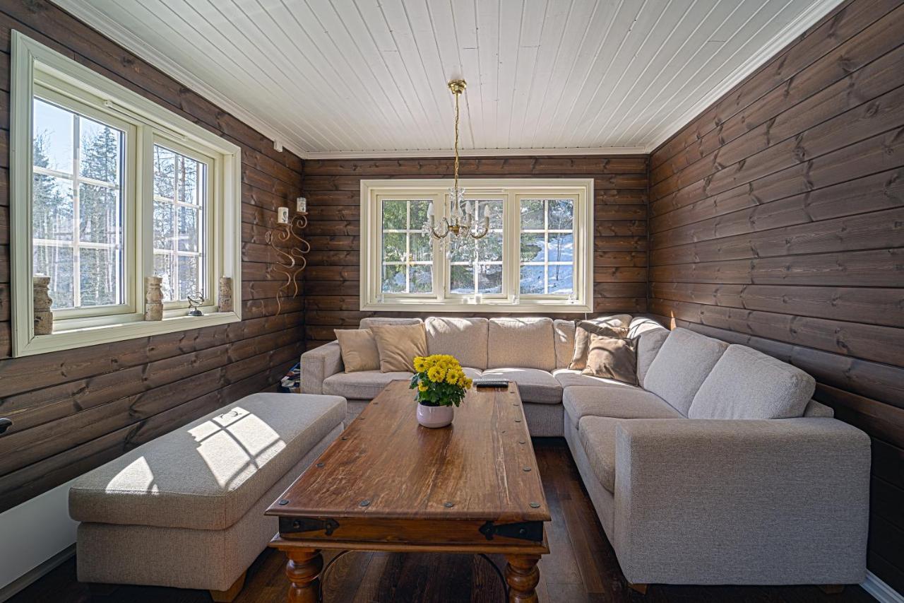 Norgesferie I Sirdal Villa Sinnes Екстериор снимка