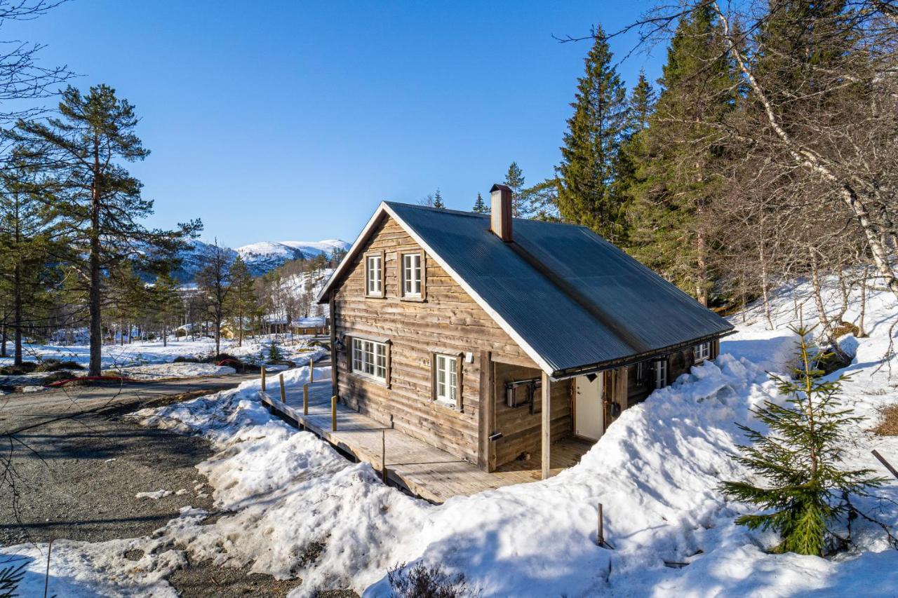 Norgesferie I Sirdal Villa Sinnes Екстериор снимка